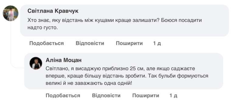Заголовок